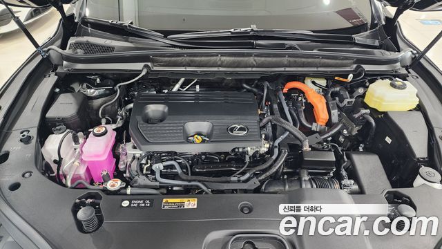 Rx350 4th gen 3.5