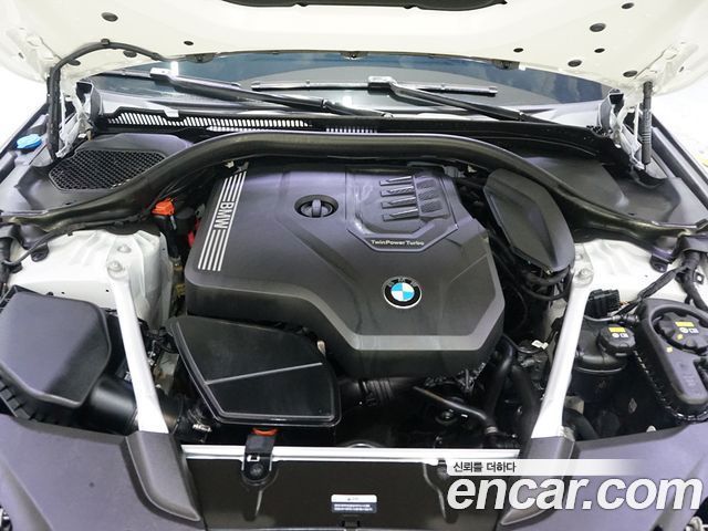 5 series (g30) 520i M Sport