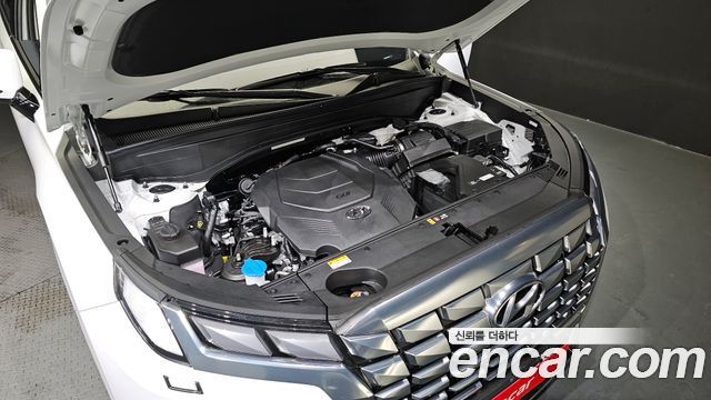 The new palisade Gasoline 3.8 4WD Calligraphy