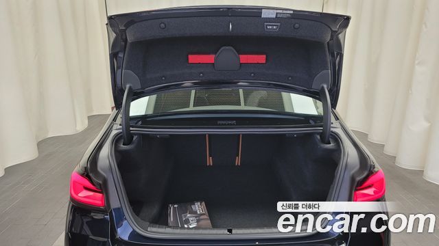 5 series (g30) 520i M Sport